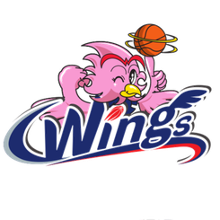 愛(ài)信飛翼女籃